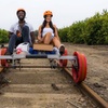 Image 1: Railbike Experience for up to Two People across California's Groves!