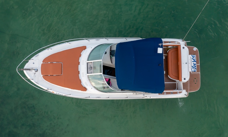 Image 9: Luxury Private Boat Tours for  Twelve at Miami Blusee Charters