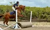 90-Minute Horseback Riding Drop-In Class or Week-Long Summer Camp with Riding Lessons (Up to 52% Off)