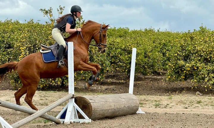 Horseback Riding Drop-In Class / Week-Long Summer Camp w/Riding Lesson