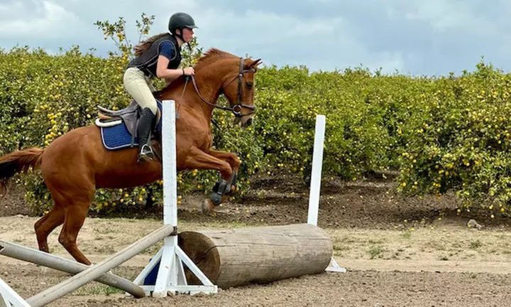 90-Minute Horseback Riding Drop-In Class or Week-Long Summer Camp with Riding Lessons (Up to 52% Off) - Primary Image