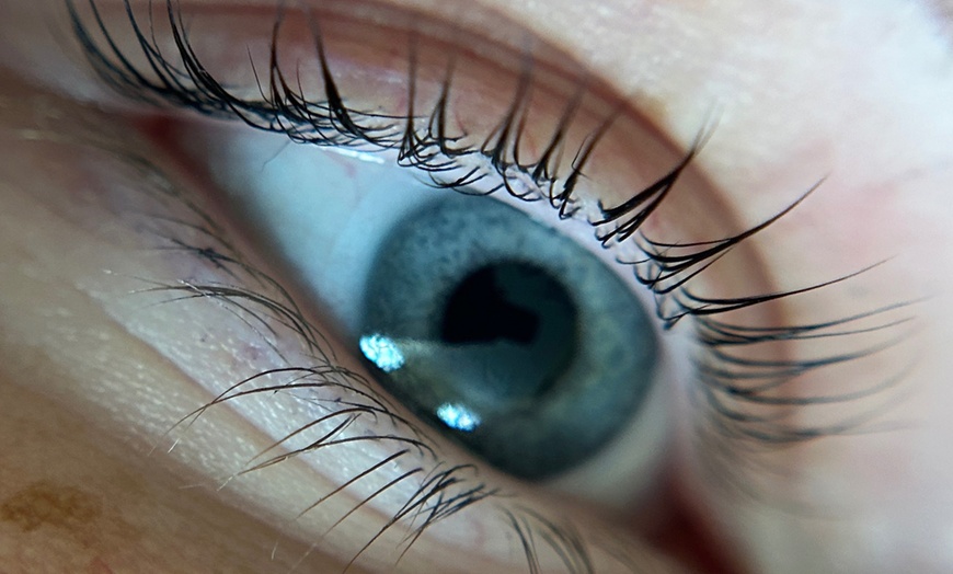 Image 10: Elevate Your Look with Lash Lift & Tint, Brow Lamination Options