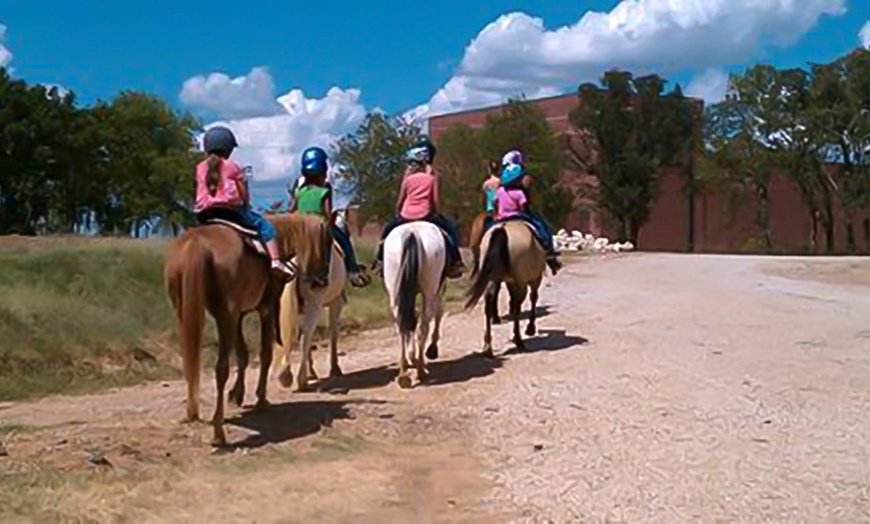 Image 2: 4 Day Summer Horseback Riding Camp | Kid will Form Special Bond 
