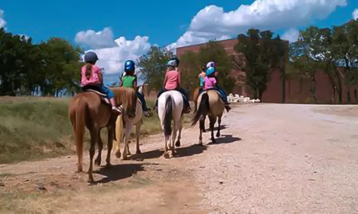4 Day Summer Horseback Riding Camp | Kid will Form Special Bond with their Horse | Up to 34% Off - Second Medium
