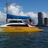 Image 3: Four-Hour Catamaran Cruise with Lunch for Up to 20 People