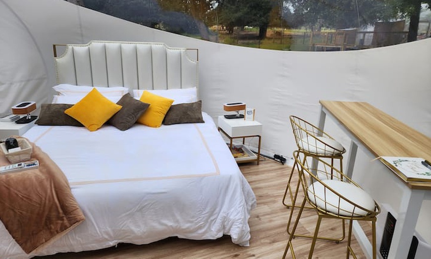 Image 9: Luxury Glamping Domes w/ Pool & Hot Tub, Just Outside Houston