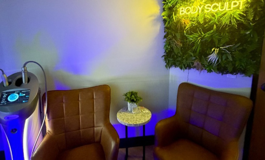 Image 7: Sculpt, Tone, And Glow with 30,45,60,or 90-Min Sculpting Sessions 