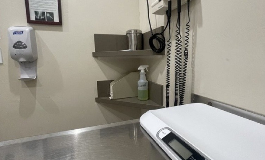 Image 5: 55% Off Comprehensive Pet Exam at Mohnacky Animal Hospital