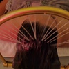 Image 3: Relax & Rejuvenate With 60-Min Japanese Or Zelene Head Spa Treatments