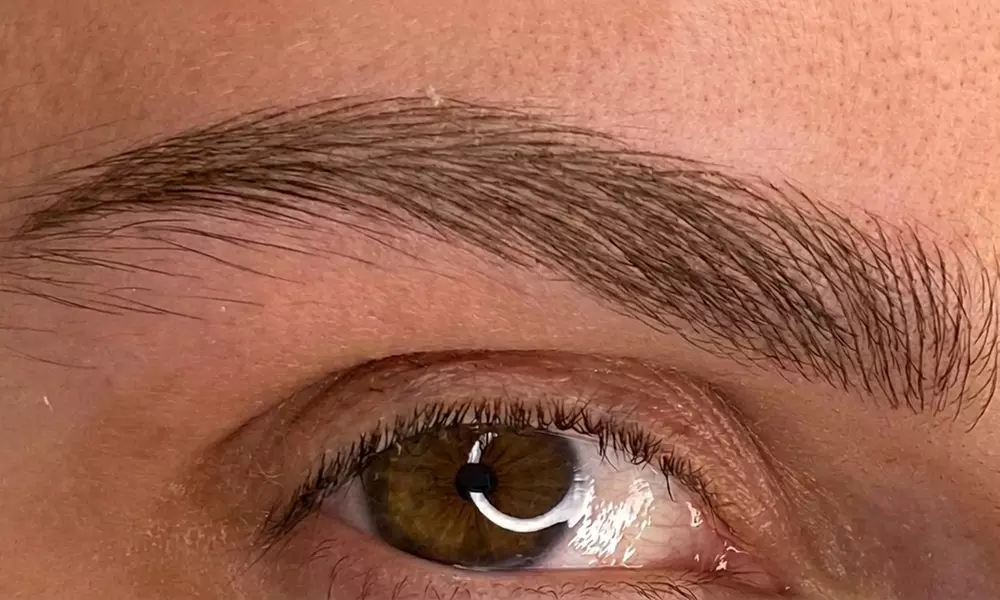 Enhance Your Look: One Microblading Session with Optional Touch-Up