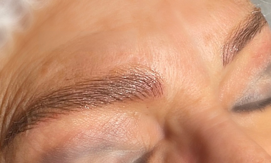 Image 7: Permanent Makeup nano Brows Powder Brows and Lip Blush