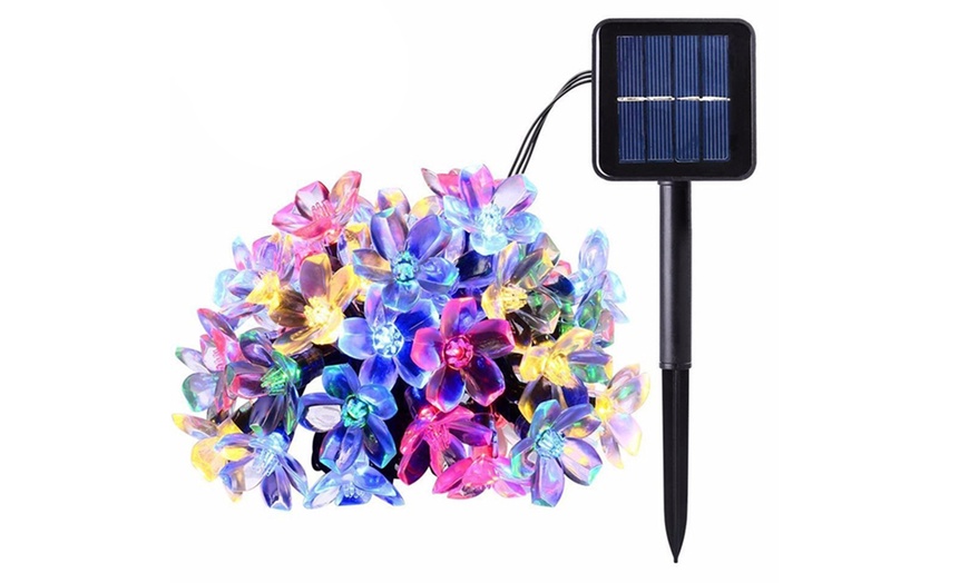 Image 16: 50 LED Multi-Coloured Solar Cherry Blossom Lights Options