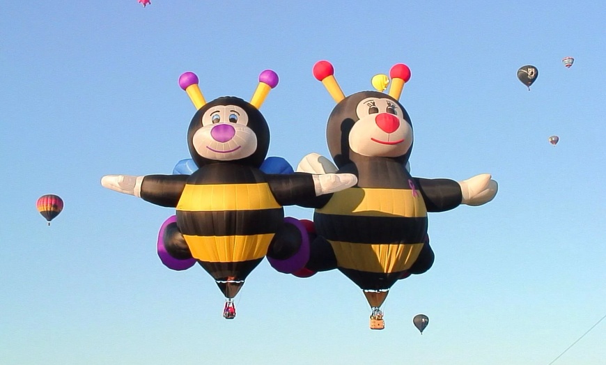 Image 8: Arizona Balloon Festival Ticket Deals - Up to 28% Off