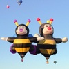 Image 8: Arizona Balloon Festival Ticket Deals - Up to 28% Off