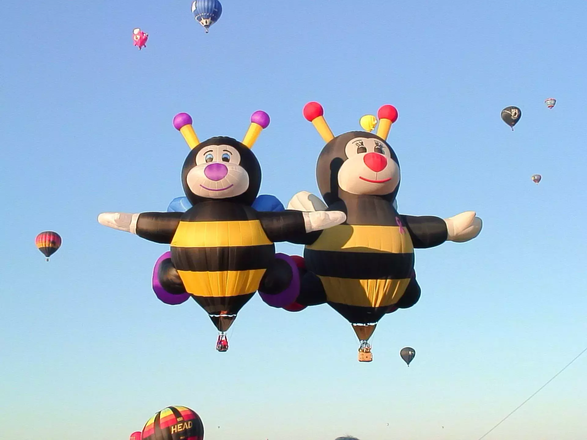 Arizona Balloon Festival - Up to 28% Off