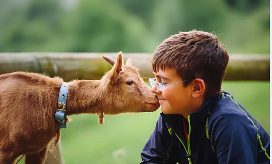 Image 8: Hands-On Animal Encounters Polk City