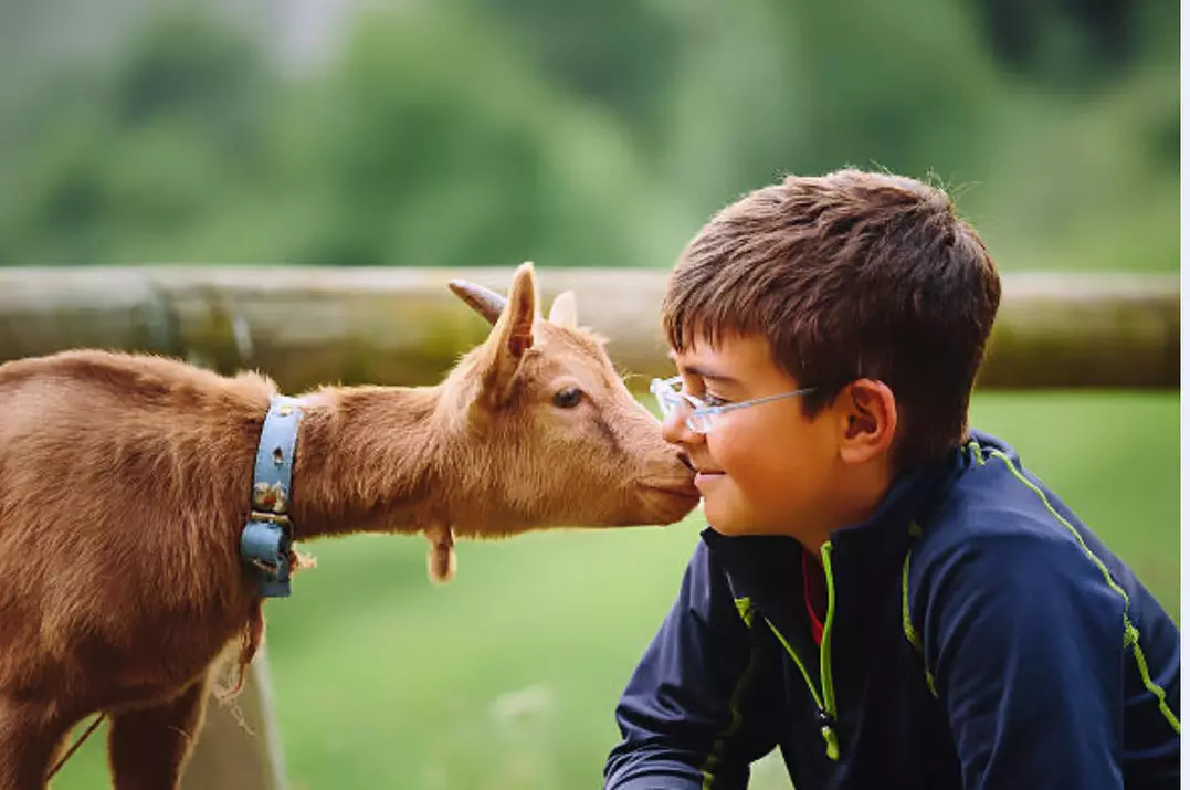 Hands-On Animal Encounters Polk City