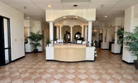 One 60-Minute Diamond Microdermabrasion Facial - Visage esthetics vb