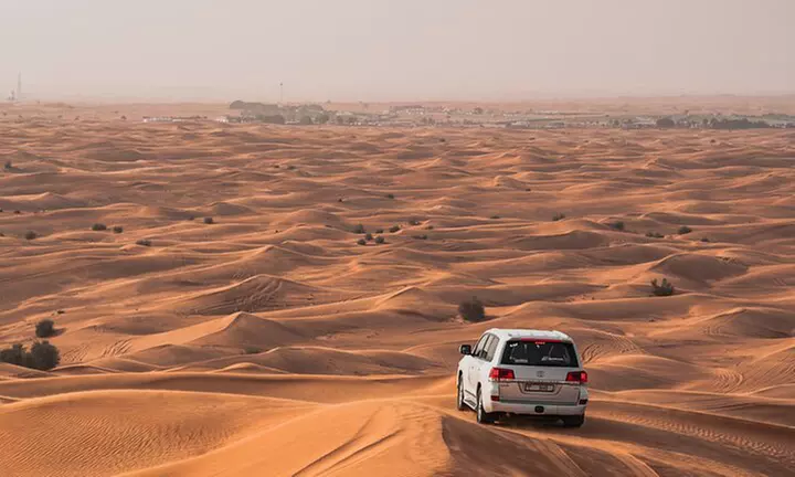 Desert Challengers Tourism: Desert Safari w/BBQ Dinner Live Shows&Optional Quad Bike/VIP Pick Up (Up To 65% Off) - Primary Image