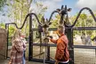 3‑Choice Go City San Diego Essentials Pass – Pick Three Top Attractions - Second Medium