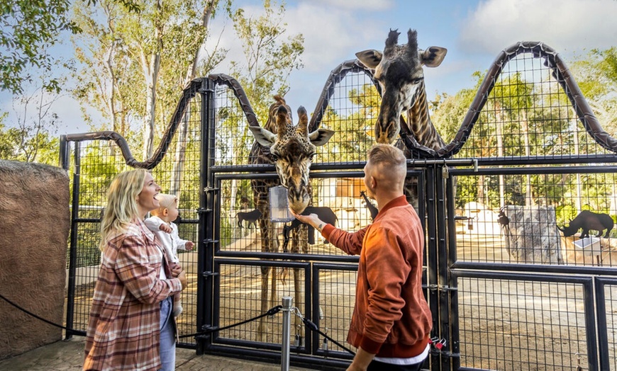 Image 5: Go City Essentials Pass – San Diego Attractions