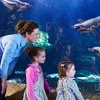 Image 5: Oceanarium Experience for One Adult, Child, Senior or Family of Upto 5