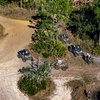 Image 10: Family Fun ATV & UTV Rentals Mudding and Trail Riding at RYC MUD PARK