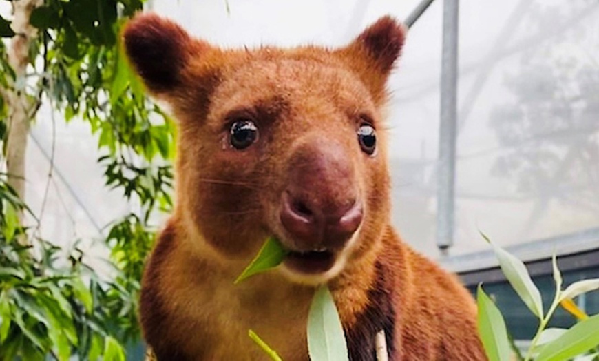 Image 9: Explore Wild Encounters with Adult and Child General Admission Tickets