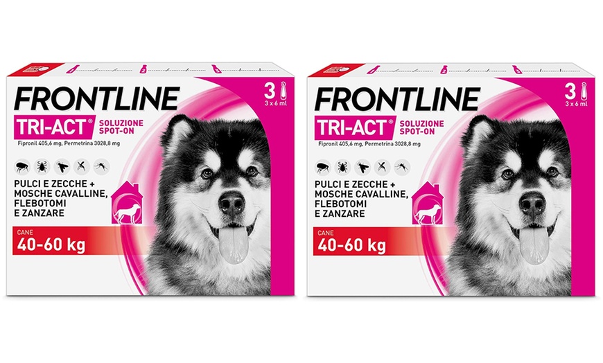 Image 9: Fino a 12 pipette Frontline Tri-Act® Spot-on per cani