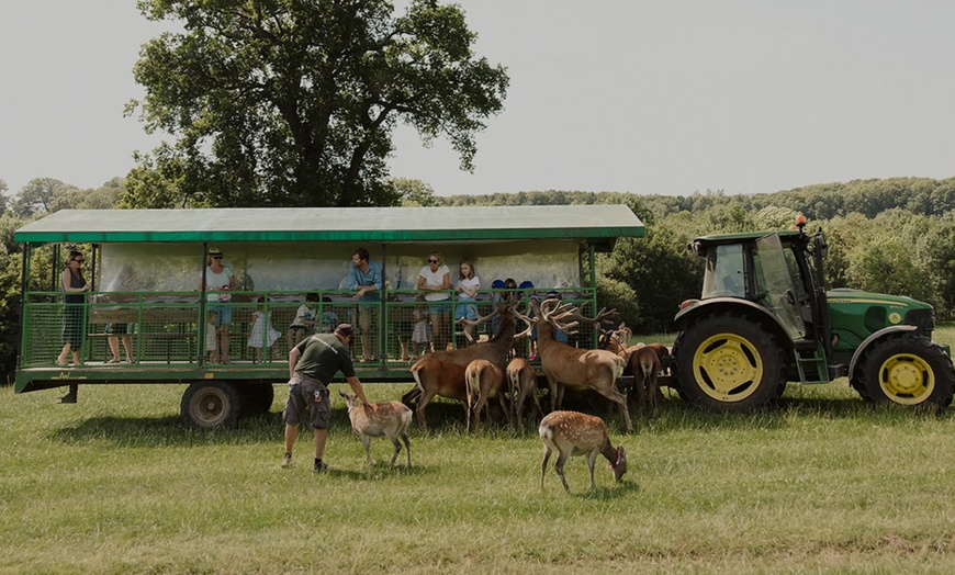 Image 5: Explore Farm Life & Enjoy Soft Play – Perfect Family Day!​