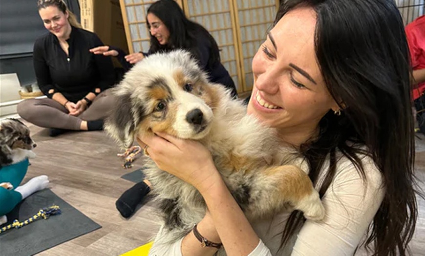 Image 1: Indulge in a 1 Hour Puppy Yoga Class for a Child or Adult