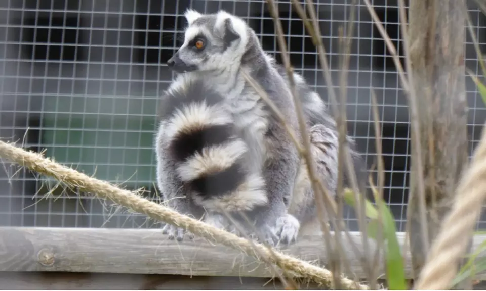 Enjoy Family fun with Entry Tickets for Adults and Childrens