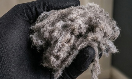 Dryer Vent Cleaning Package - ERS Handyman Pro