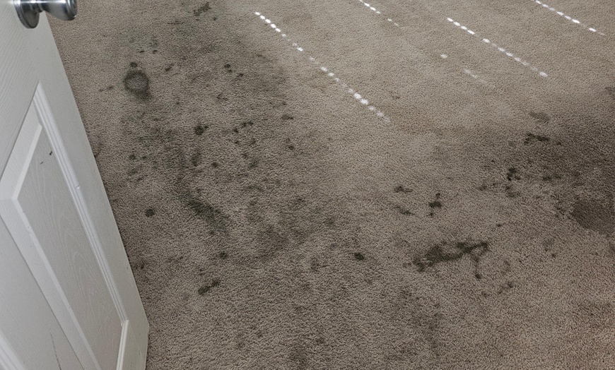 Image 3: Up to 62% Off on Carpet Cleaning at Aggro Carpet Cleaning