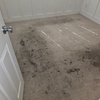 Image 3: Up to 58% Off on Carpet Cleaning at Aggro Carpet Cleaning