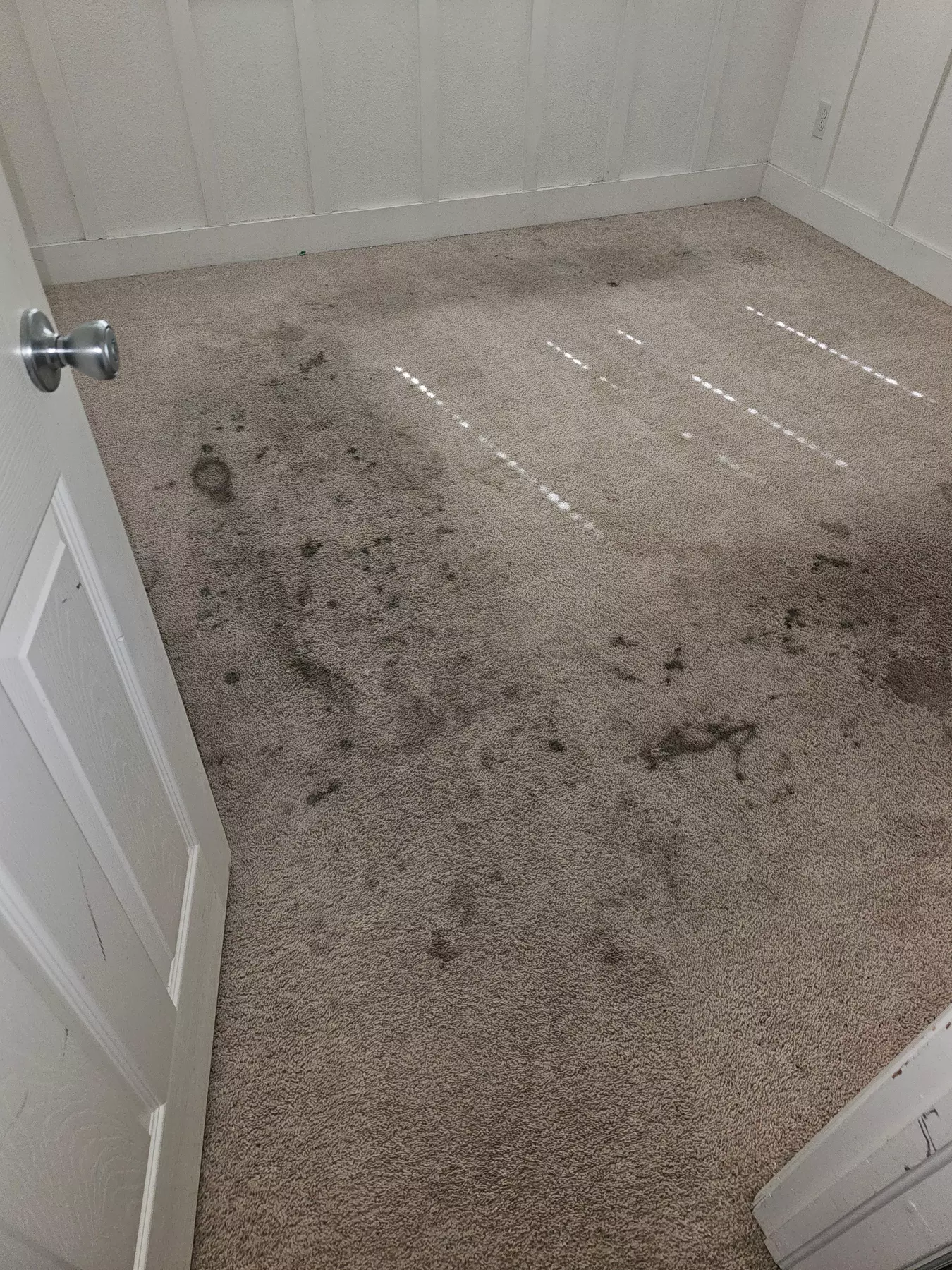 Aggro Carpet Cleaning for 3, 5, or 8 Rooms Up to 1250 Sq. Ft, 58% off