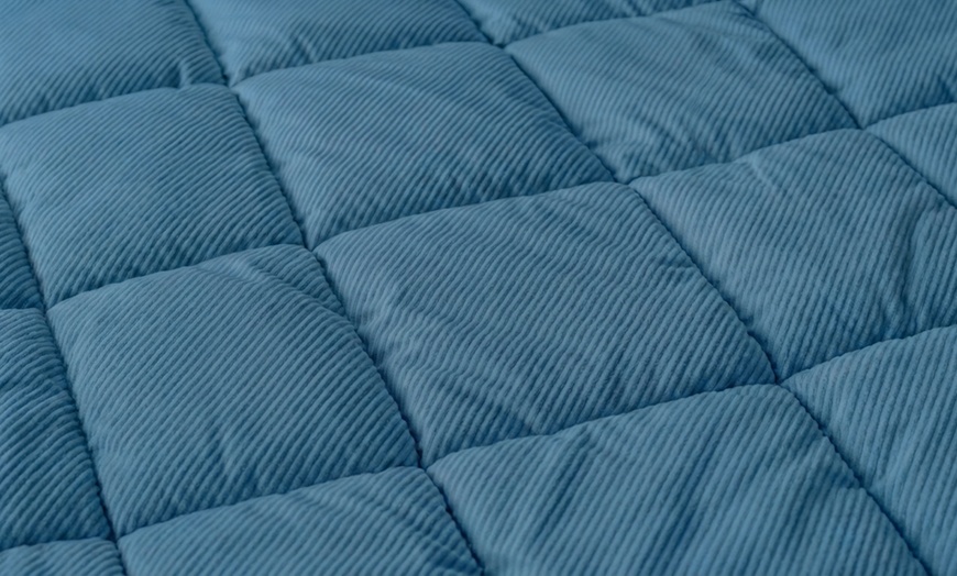 Image 7: Trapunta invernale matrimoniale in velluto