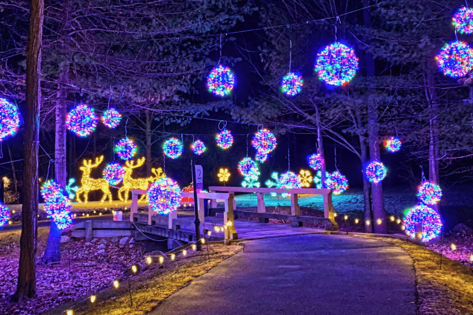 Sparkling Holiday Lights at Labelle Winery in Derry, NH | A Night of Lights, Food & Festive Fun - Primary Image