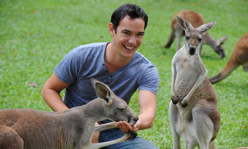 Image 7: Admission and Hospital Sneak Peek to Australia Zoo