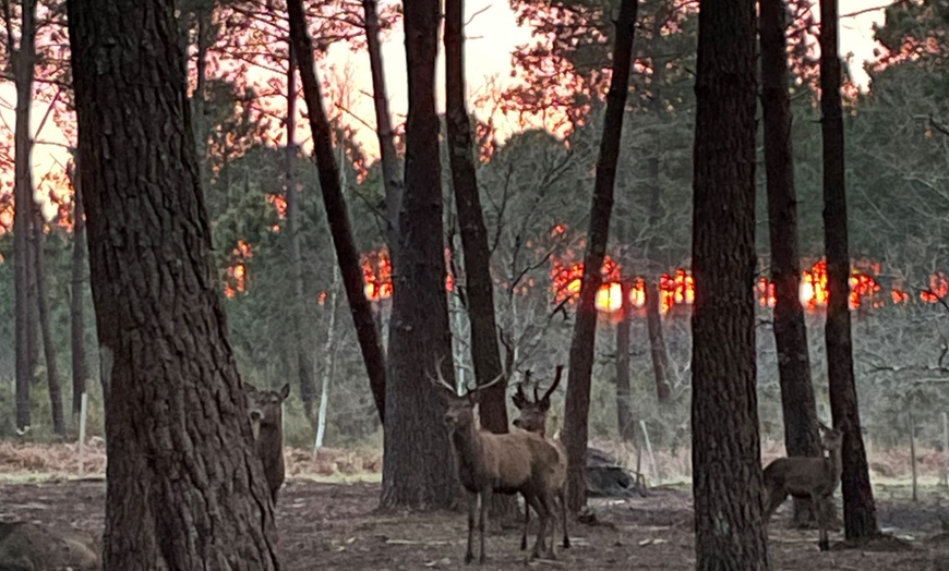 Image 12: Séance d'accrobranche de 2h ou Fermi'Fun à l'Animalia Parc