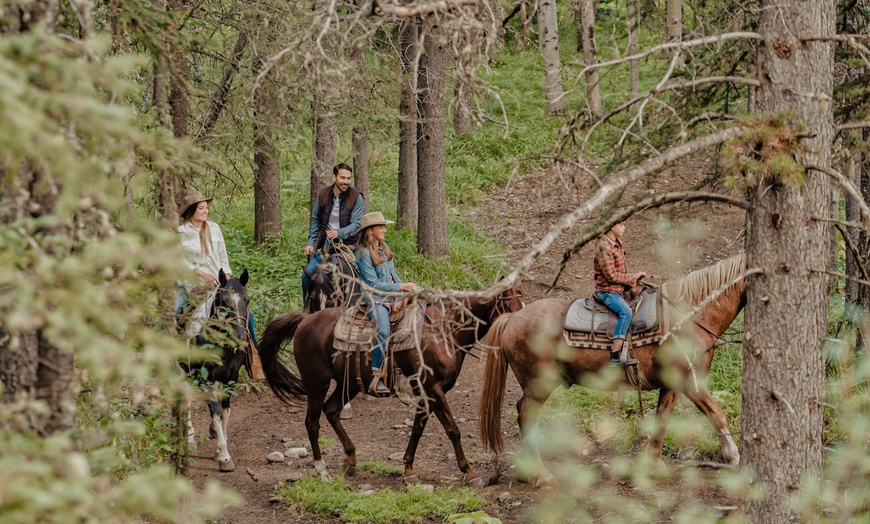 Image 7: Up to 39% Off Horseback Trail Rides at Boundary Ranch