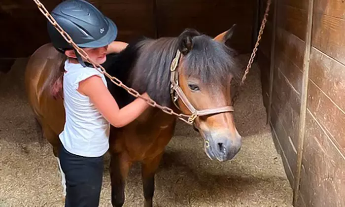 Join 1 or 4 Private Horseback Lessons For Adults or Children