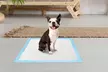 iMounTEK 5-Layer Leak-Proof Pet Dog Training Pee Pads (50-, 100- or 150-Count) - Image 4