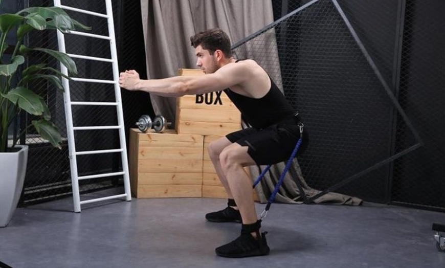 Image 5: Boxing Bounce Strength Trainers; 15 or 25 lbs