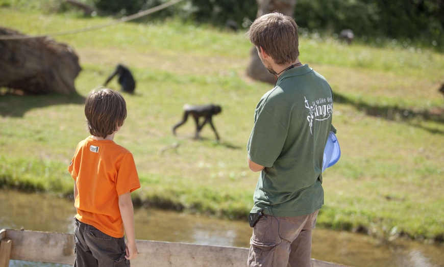 Image 8: La Vallée des Singes : expérience précieuse au cœur du monde sauvage