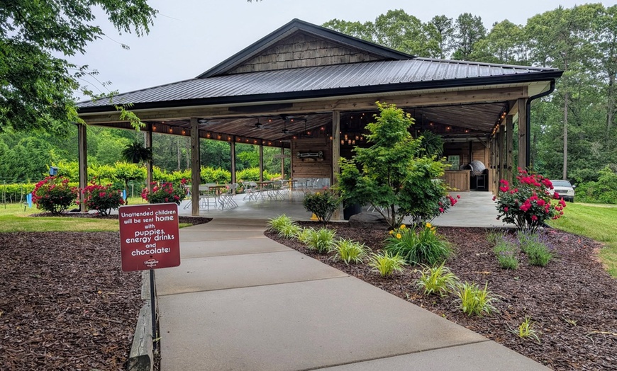 Image 11: Enjoy a Wine Tasting Flight for 1, 2, or 4 People in a Scenic Vineyard