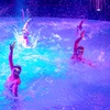 Image 2: Hippodrome's Summer Circus & Water Show