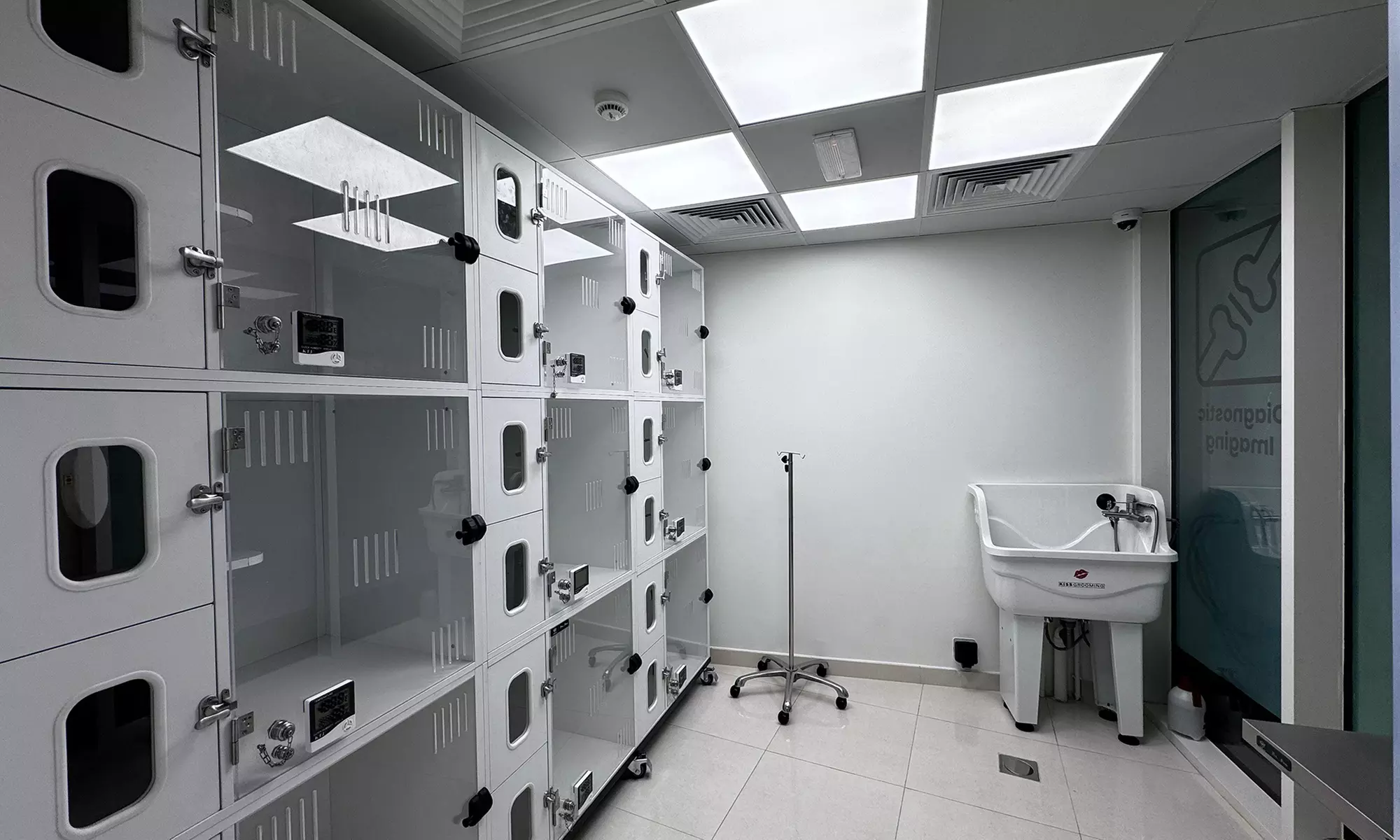 Treat your Cats/Dogs with Basic/Full Grooming from 10 to above 30 kg