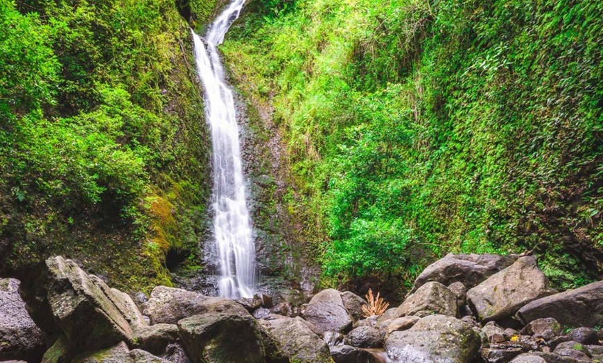 Image 1: Explore Hawaii with Lemurian Tours for Kids and Adults