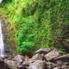 Image 1: Explore Hawaii with Lemurian Tours for Kids and Adults